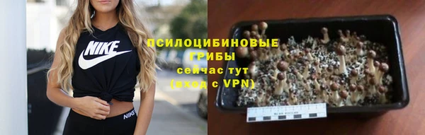 ECSTASY Абаза