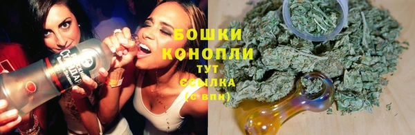 ГАЛЛЮЦИНОГЕННЫЕ ГРИБЫ Ростов