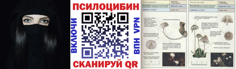 Псилоцибиновые грибы MAGIC MUSHROOMS  Дальнереченск 