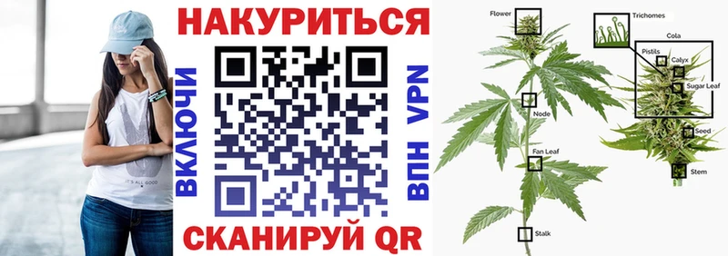 Конопля MAZAR  купить наркотики сайты  Дальнереченск 